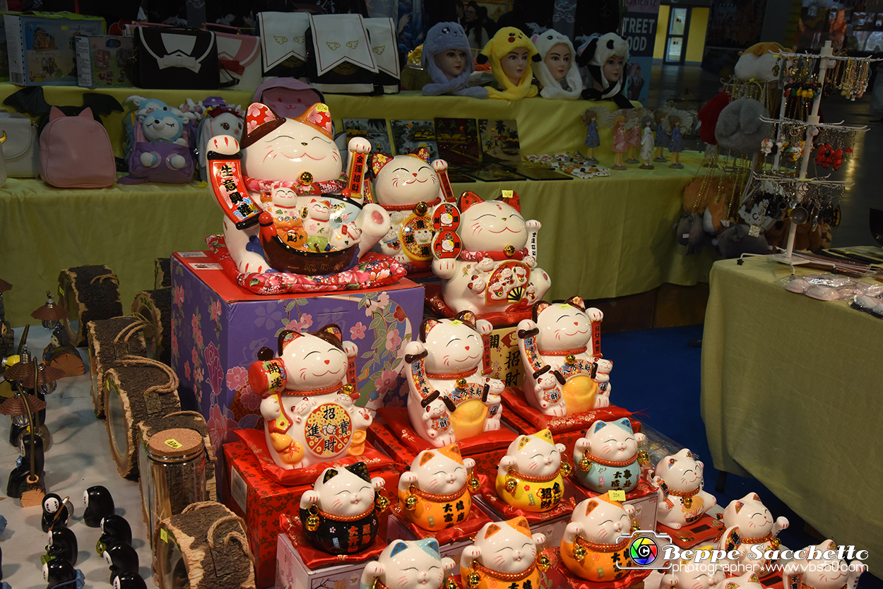 VBS_8305 - Festival dell'Oriente 2023.jpg